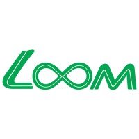loom solar